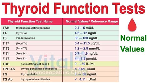 nalone miu miu test|Understanding Your Thyroid Test Results: TSH, T4, T3, and More.